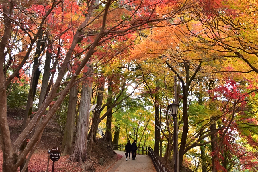 三次市尾関山公園